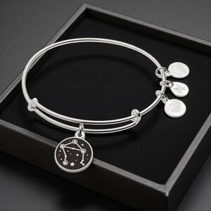 ⚖️ALEX AND ANI⚖️Color Infusion Libra Zodiac Charm Bangle with Gift Box/NWT